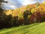 Autumn around Dunalastair