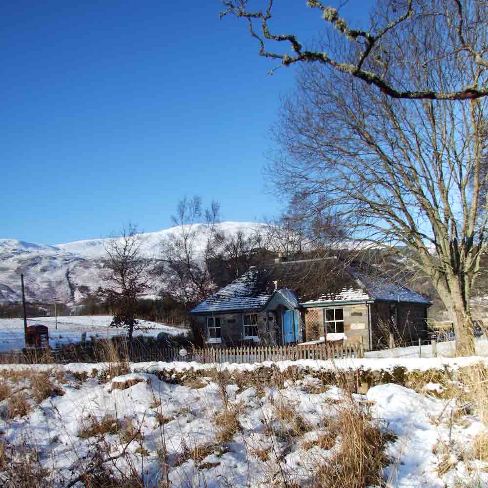 Dunalastair Wildlife Blog