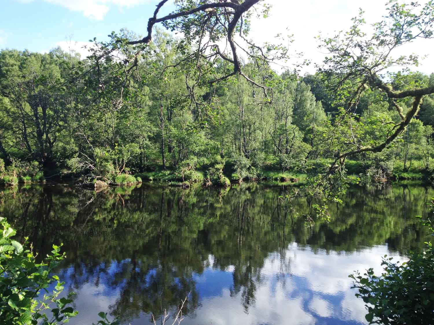 Peaceful river scene in front of East Lodge, known as the Queen's Pool